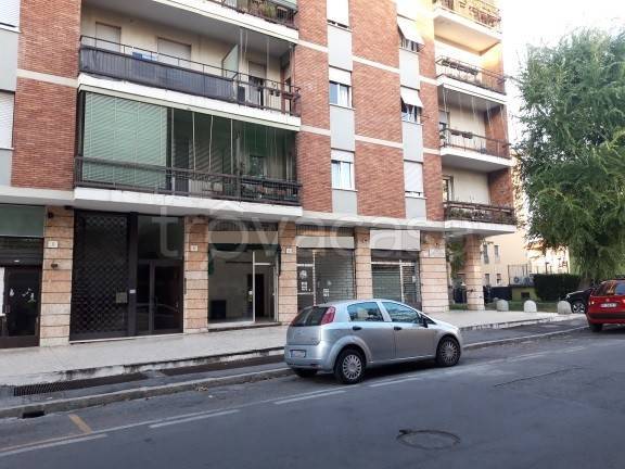 immagine annuncio 11 di 14