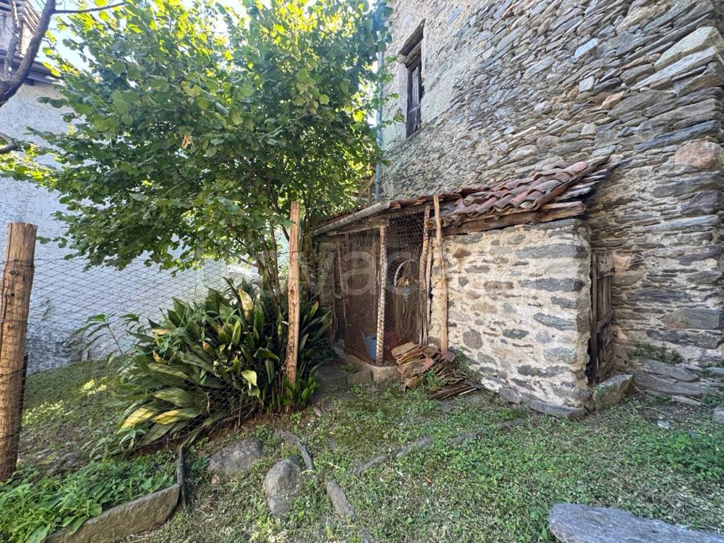 immagine annuncio 6 di 15