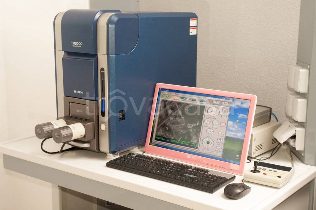 immagine annuncio 10 di 15