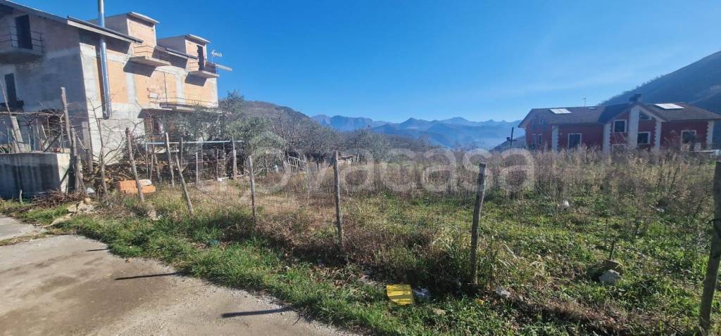 immagine annuncio 9 di 14