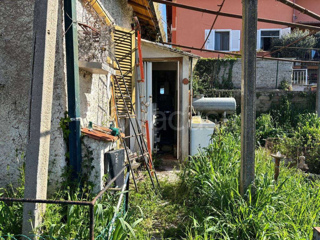 immagine annuncio 11 di 13