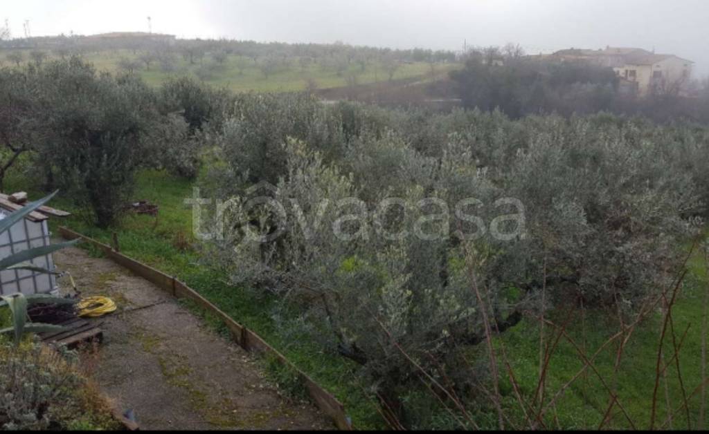 immagine annuncio 4 di 12