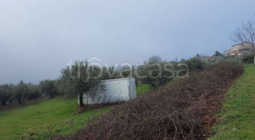 immagine annuncio 10 di 12