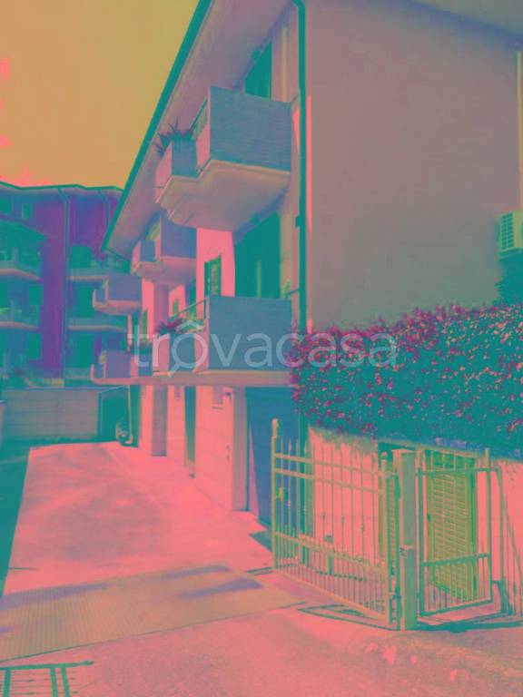 immagine annuncio 3 di 14