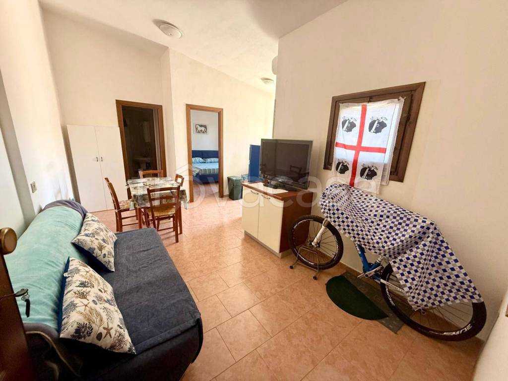 immagine annuncio 5 di 14