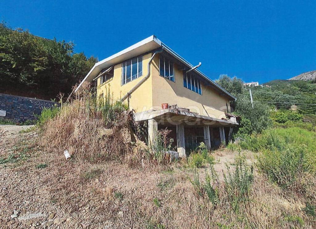 immagine annuncio 5 di 13
