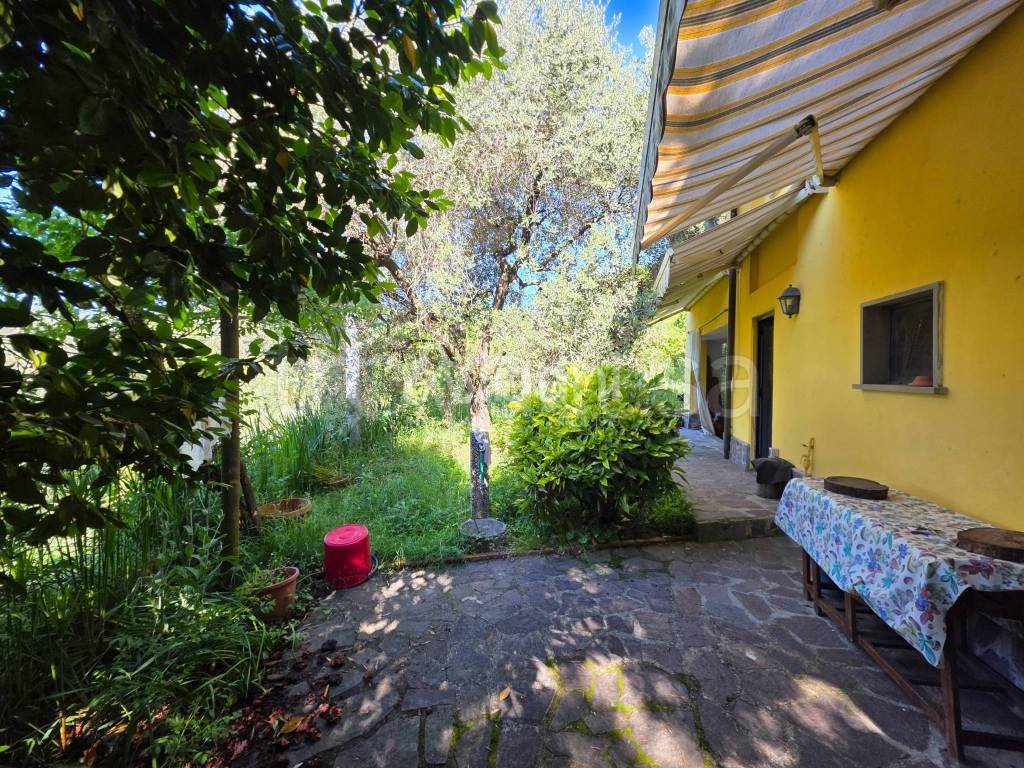 immagine annuncio 4 di 15