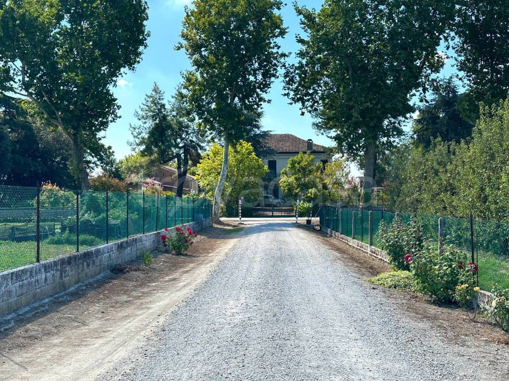 immagine annuncio 11 di 12