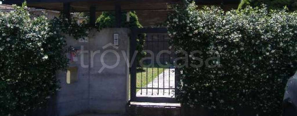 immagine annuncio 7 di 11