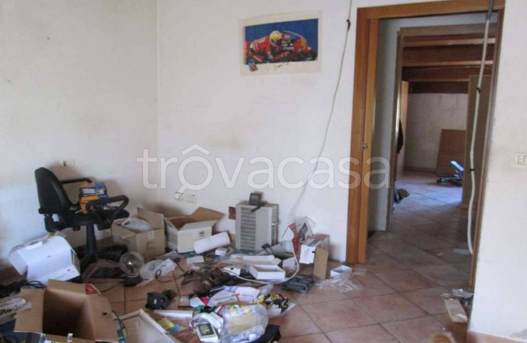 immagine annuncio 3 di 13