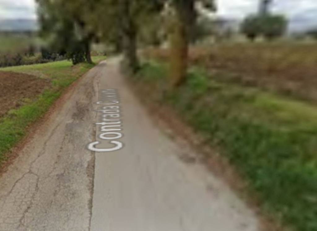 immagine annuncio 1 di 11