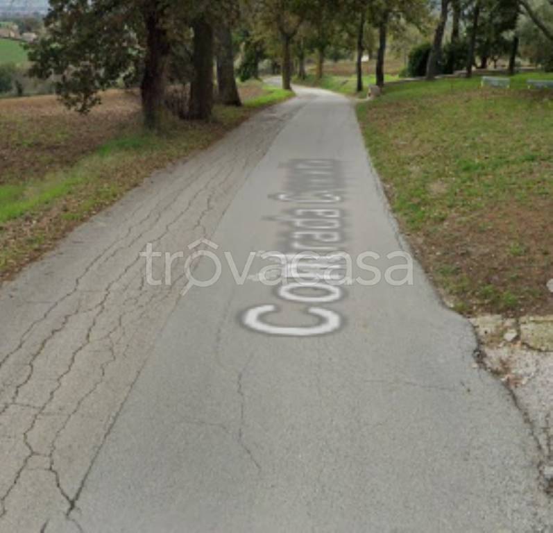immagine annuncio 4 di 11