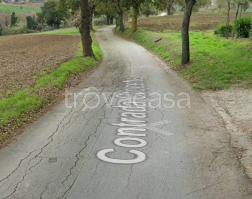 immagine annuncio 8 di 11