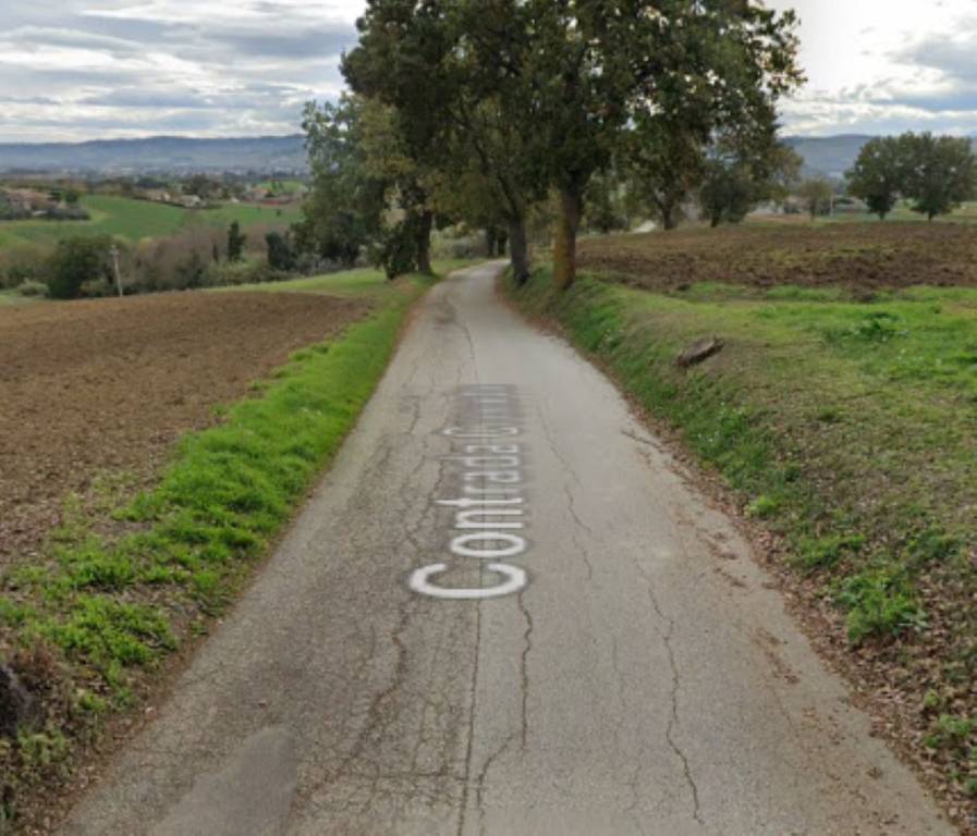 immagine annuncio 5 di 12