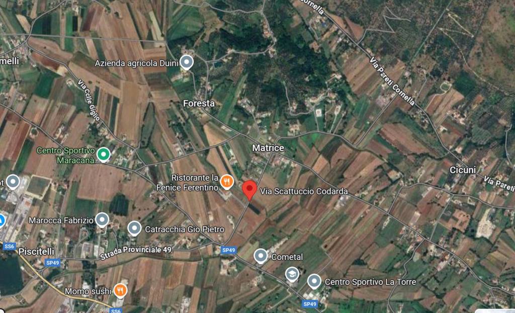 immagine annuncio 3 di 12