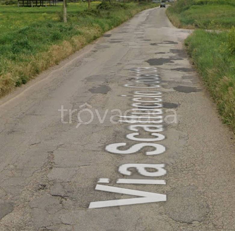 immagine annuncio 8 di 12
