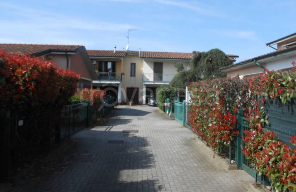 immagine annuncio 8 di 12