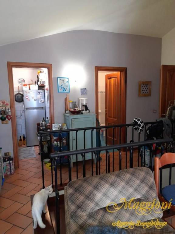 immagine annuncio 5 di 14