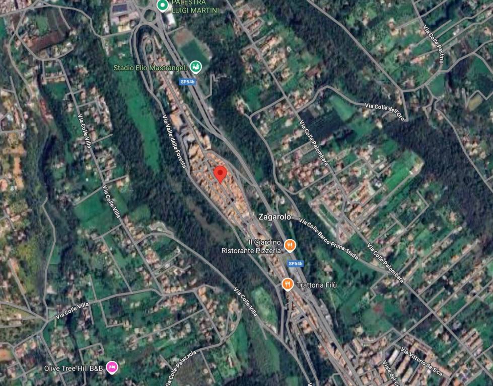immagine annuncio 11 di 13