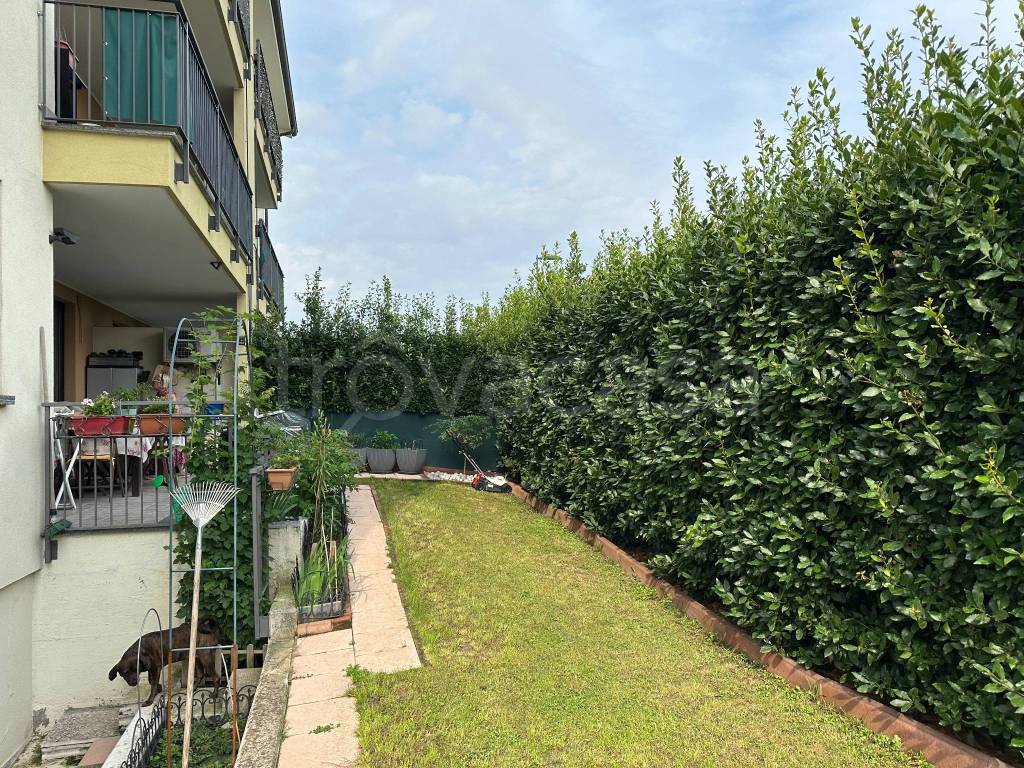 immagine annuncio 11 di 15