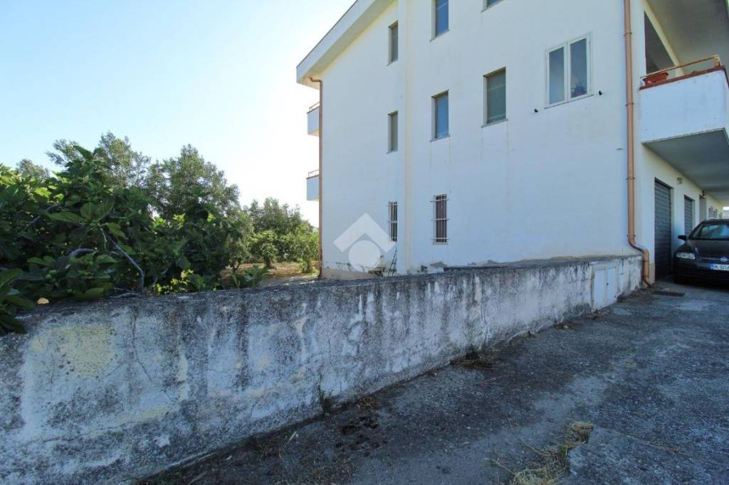 immagine annuncio 2 di 14