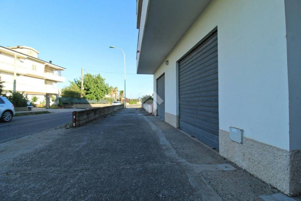 immagine annuncio 4 di 14