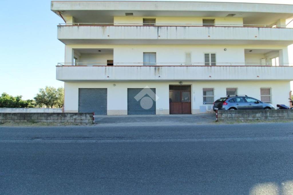 immagine annuncio 7 di 14