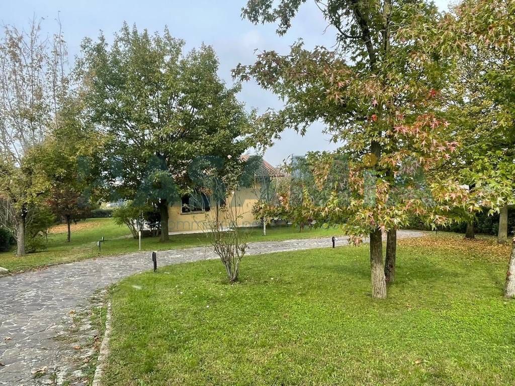 immagine annuncio 8 di 11