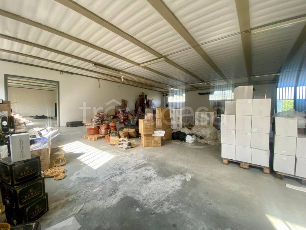 immagine annuncio 2 di 9