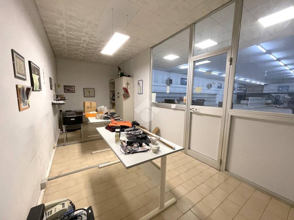immagine annuncio 14 di 15