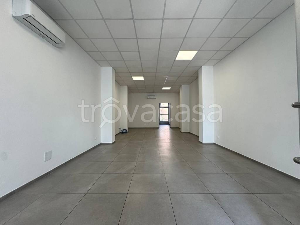 immagine annuncio 2 di 6