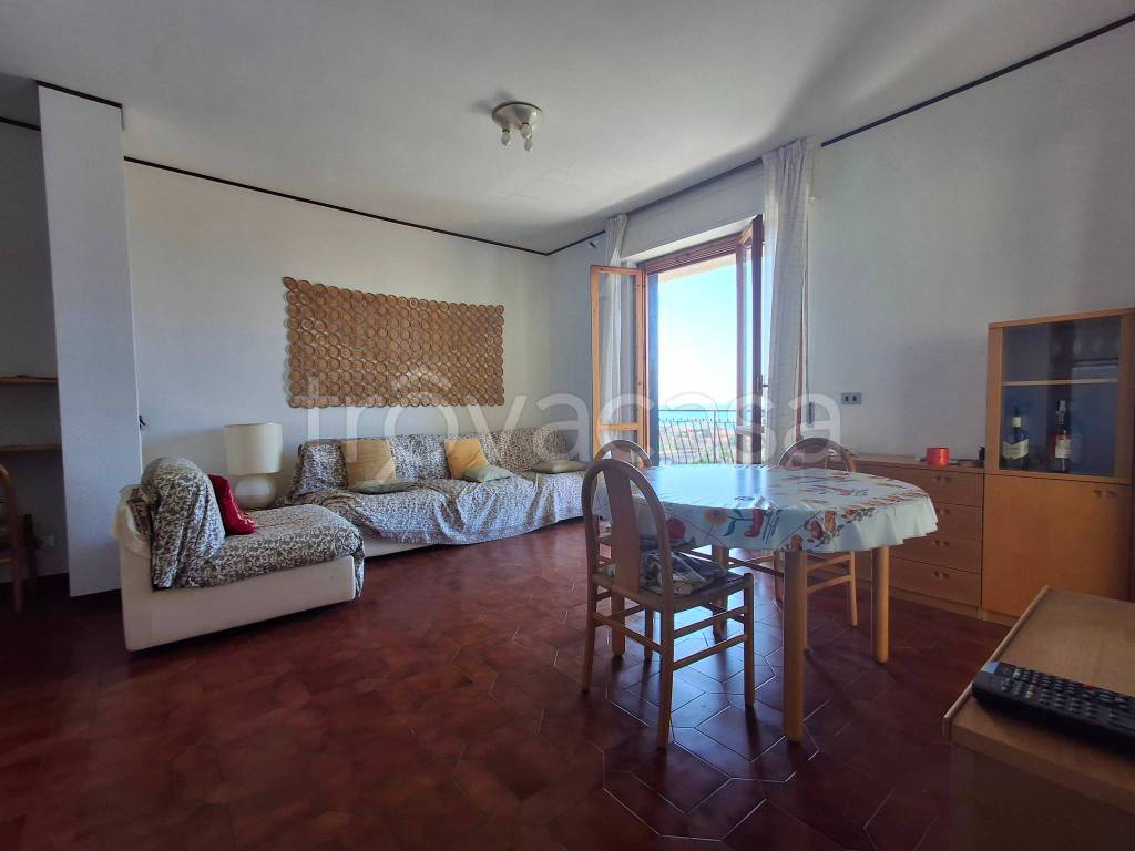 immagine annuncio 9 di 14