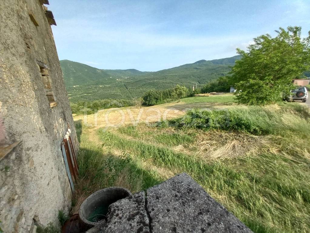 immagine annuncio 5 di 8