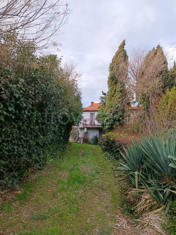 immagine annuncio 3 di 14