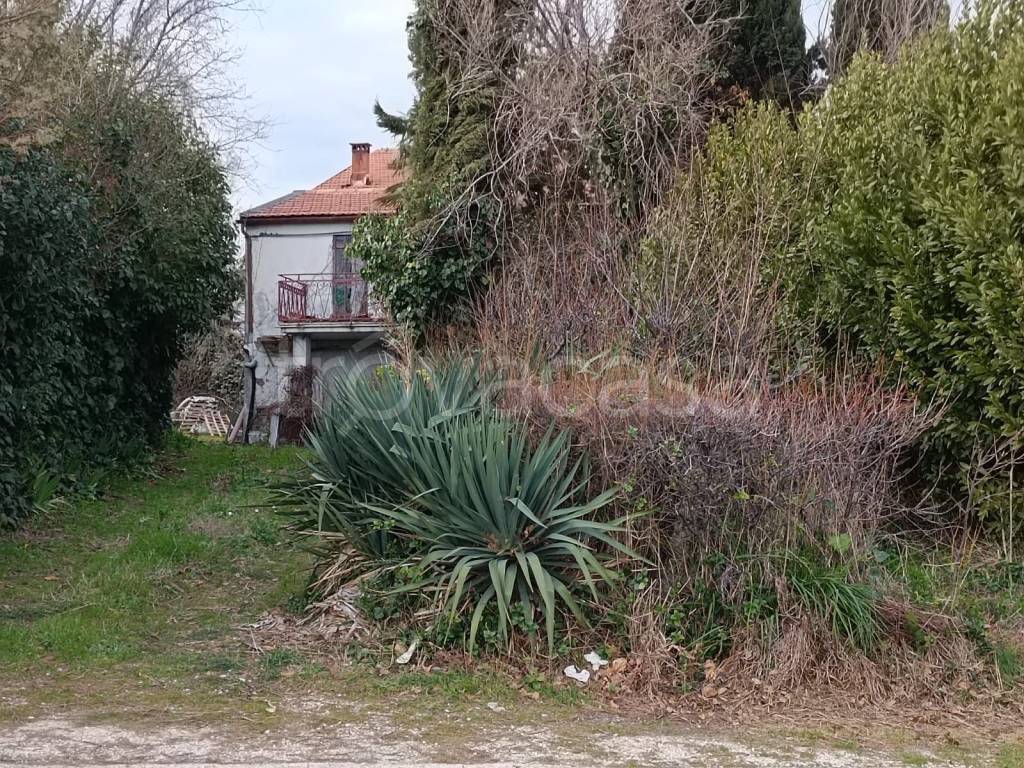 immagine annuncio 6 di 14