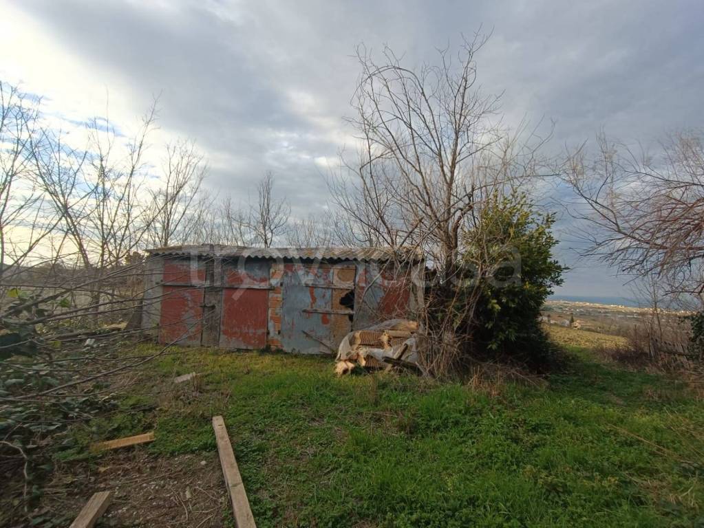 immagine annuncio 8 di 14