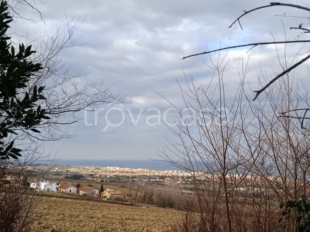immagine annuncio 10 di 14