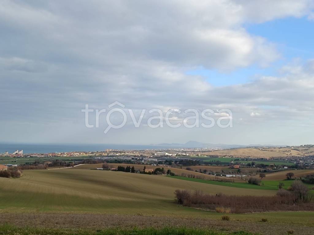 immagine annuncio 12 di 14