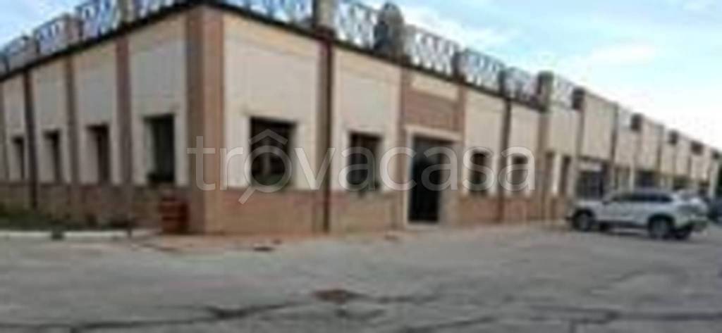 immagine annuncio 9 di 12