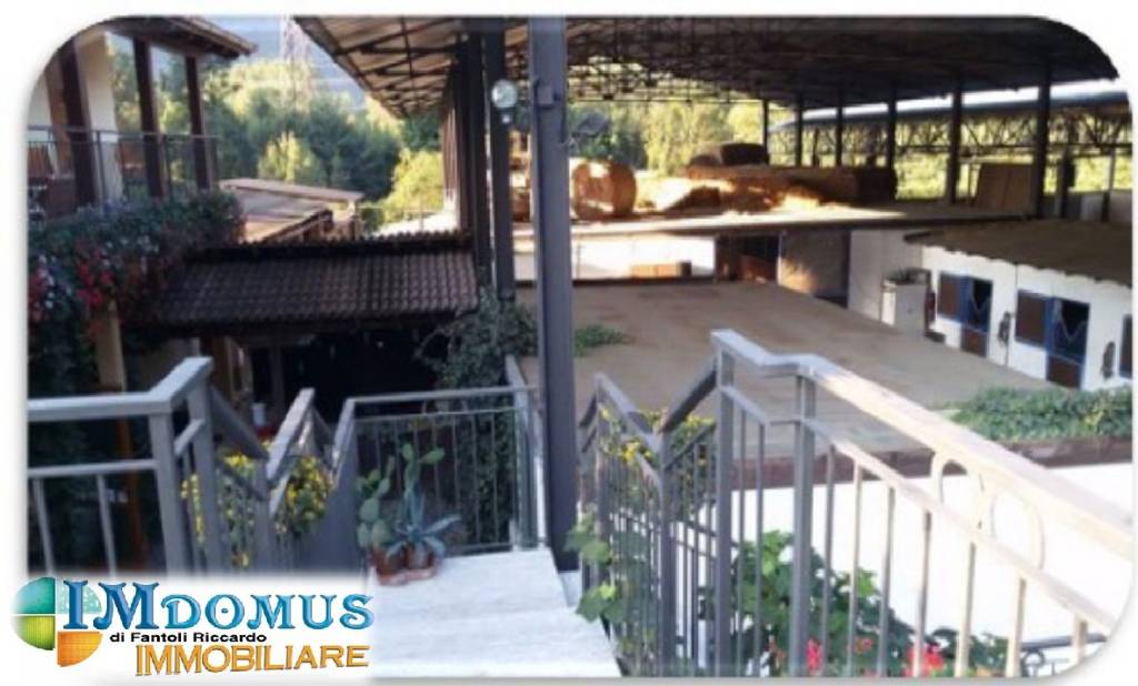 immagine annuncio 4 di 13