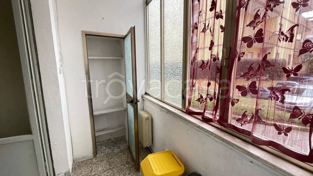 immagine annuncio 9 di 11