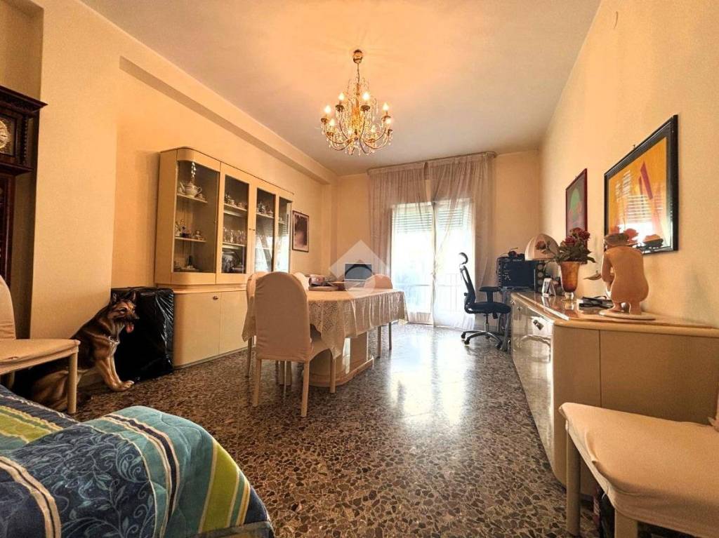 immagine annuncio 1 di 14