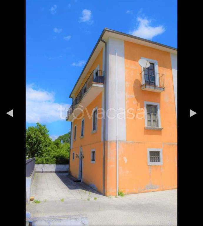 immagine annuncio 12 di 13