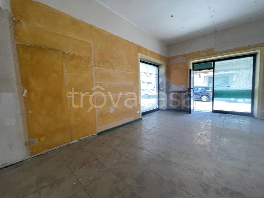 immagine annuncio 2 di 8