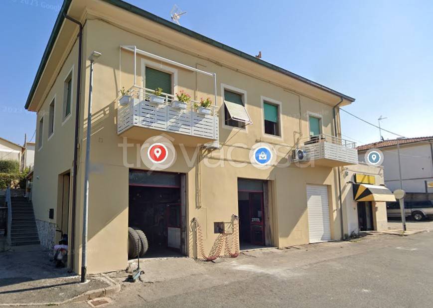immagine annuncio 11 di 15