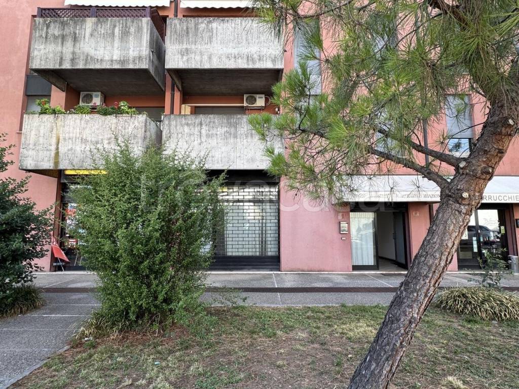 immagine annuncio 10 di 12