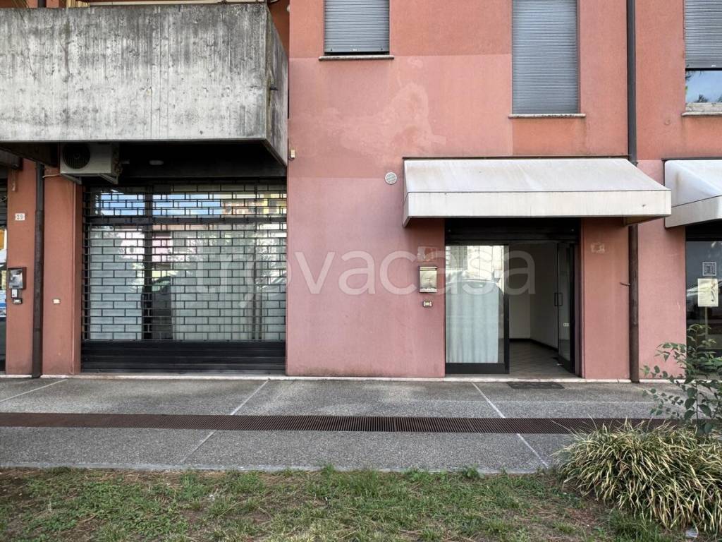 immagine annuncio 11 di 12
