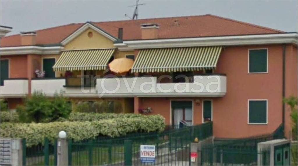 immagine annuncio 9 di 15