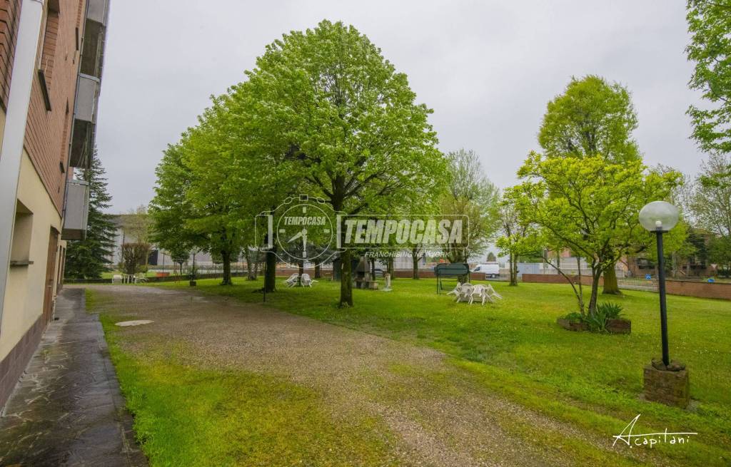 immagine annuncio 11 di 13