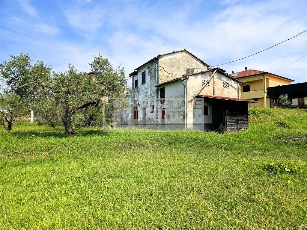 immagine annuncio 9 di 13